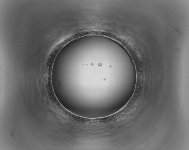 X0000112901159200909041716