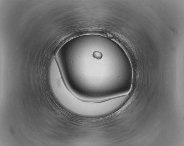 X0000112901161200909041716