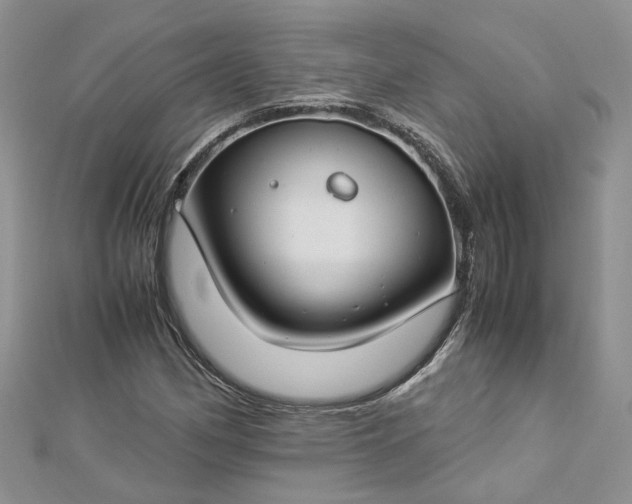 X0000112901162200909041716