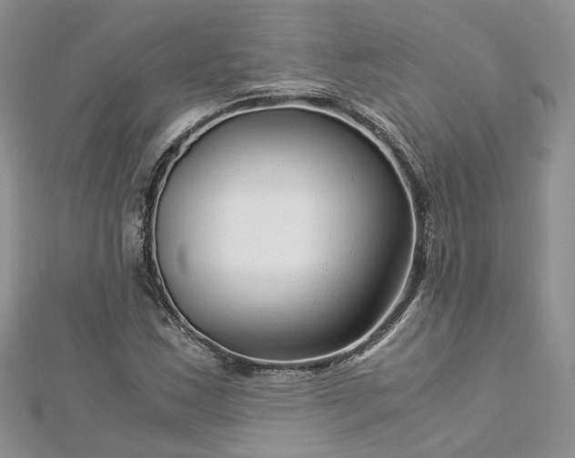 X0000112901163200909041716