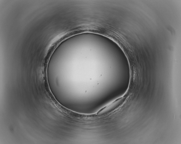 X0000112901164200909041716