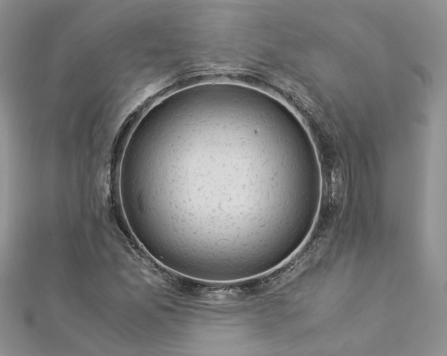 X0000112901165200909041716