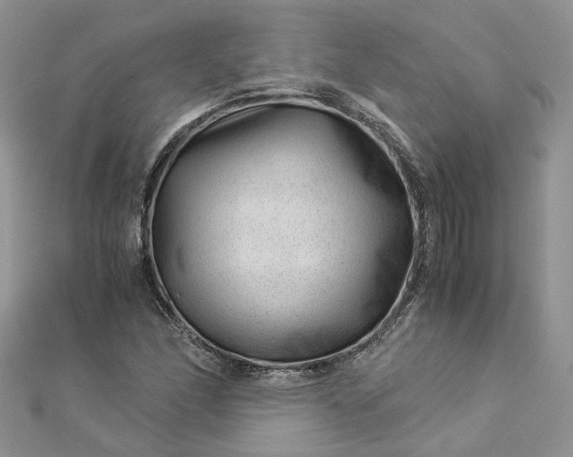 X0000112901166200909041716