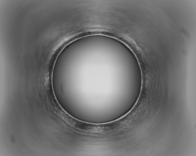 X0000112901167200909041716