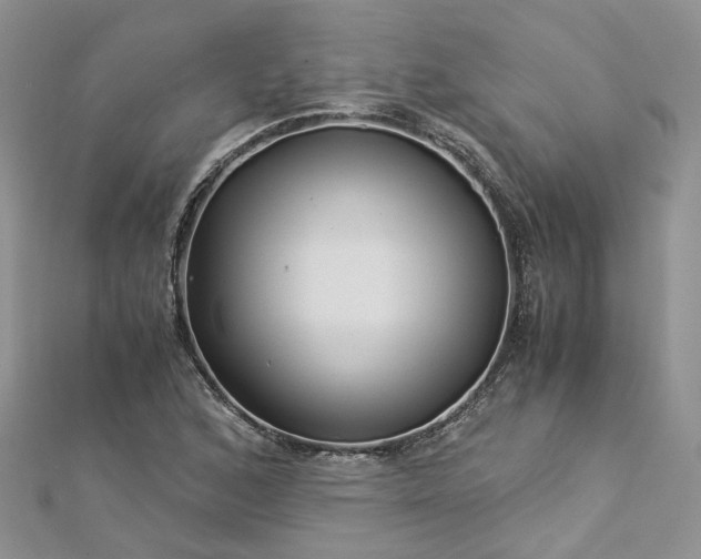 X0000112901168200909041716