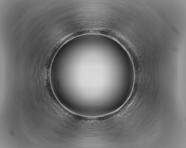 X0000112901169200909041716