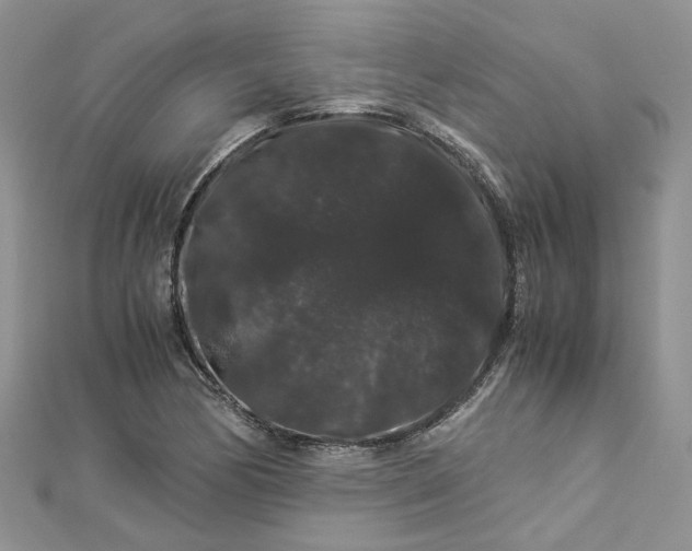 X0000112901170200909041716