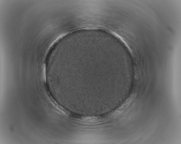 X0000112901171200909041716