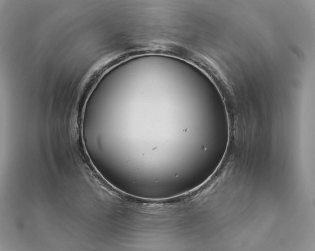 X0000112901172200909041716