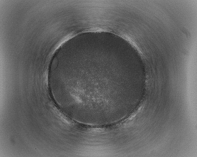 X0000112901173200909041716