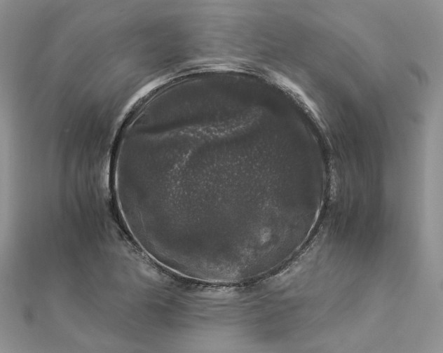 X0000112901174200909041716