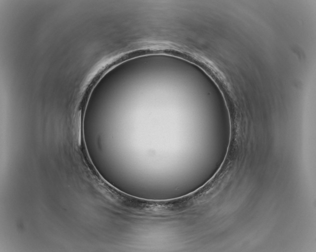 X0000112901175200909041716