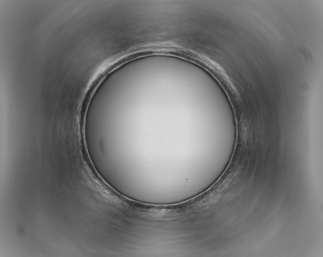 X0000112901176200909041716