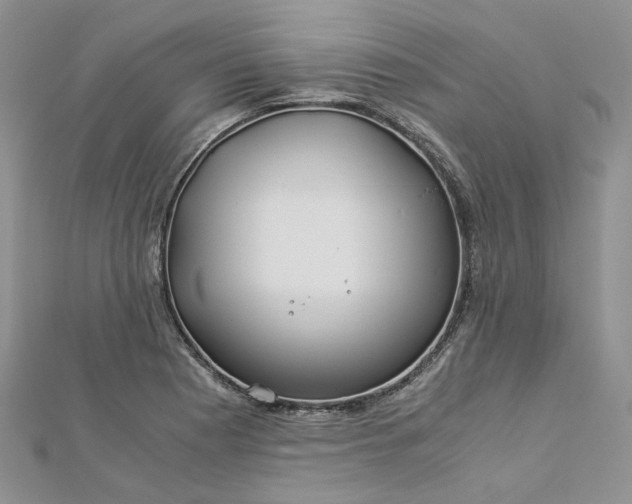 X0000112901177200909041716