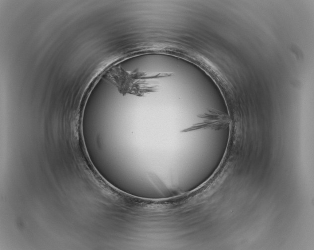 X0000112901178200909041716