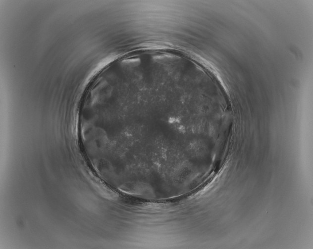 X0000112901179200909041716