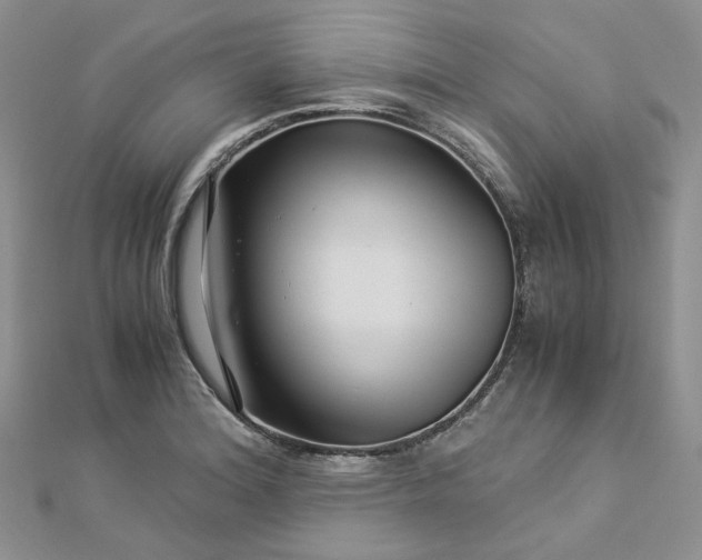 X0000112901180200909041716