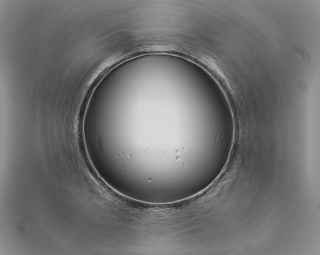 X0000112901181200909041716