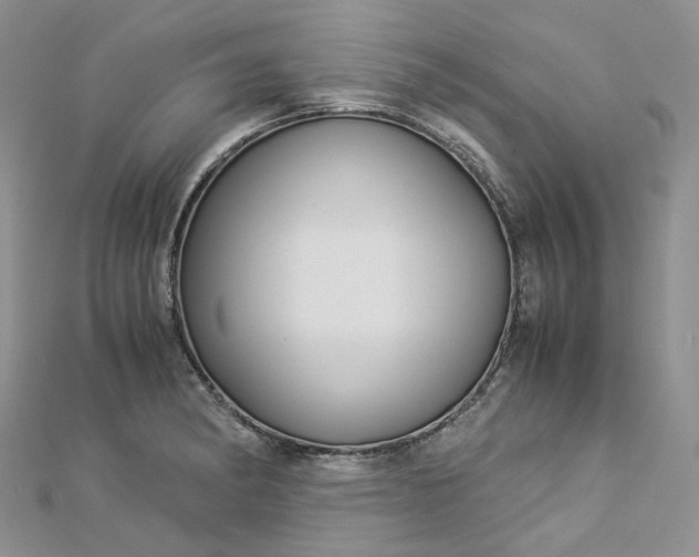 X0000112901182200909041716