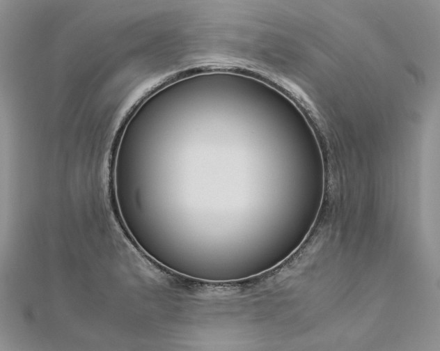 X0000112901183200909041716