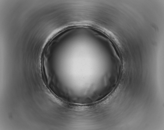 X0000112901184200909041716