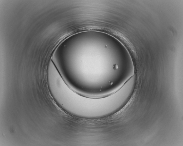 X0000112901185200909041716