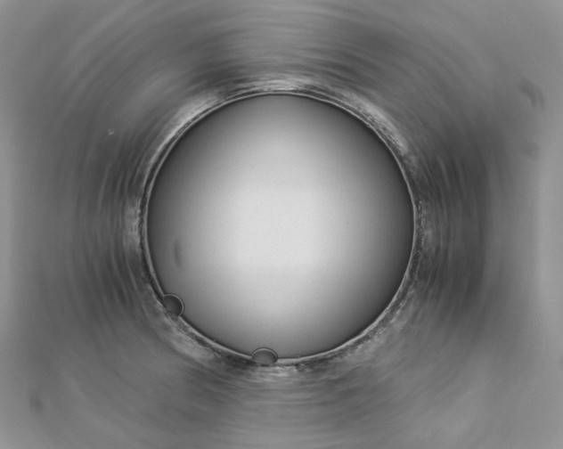 X0000112901186200909041716