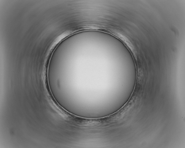 X0000112901187200909041716