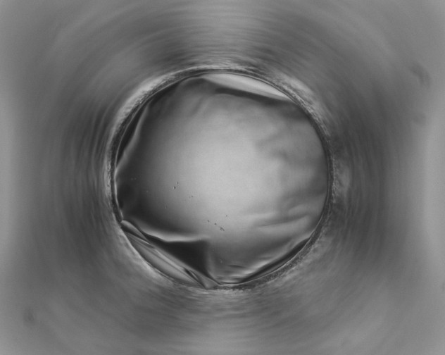 X0000112901188200909041716