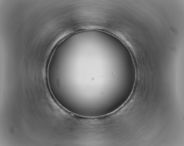 X0000112901189200909041716