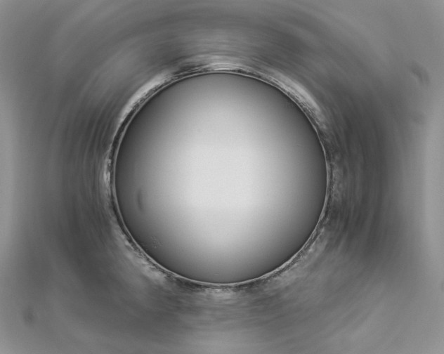 X0000112901190200909041716