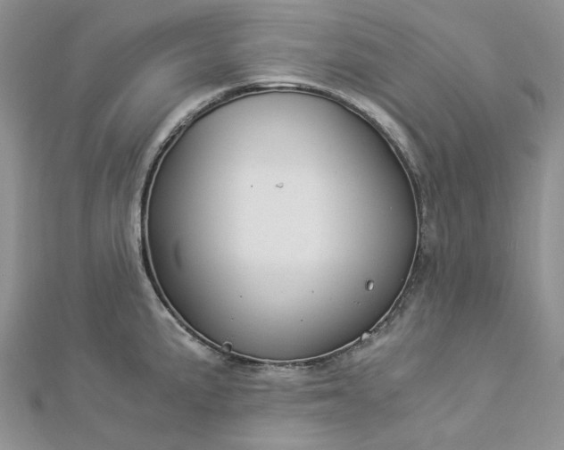 X0000112901191200909041716