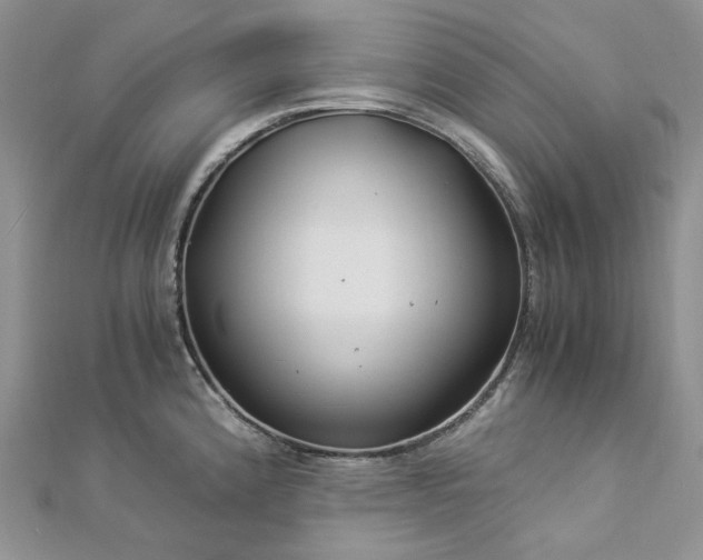 X0000112901192200909041716