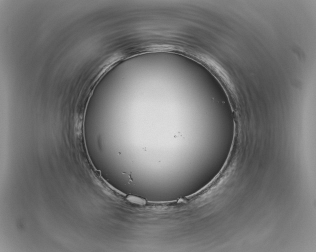 X0000112901193200909041716