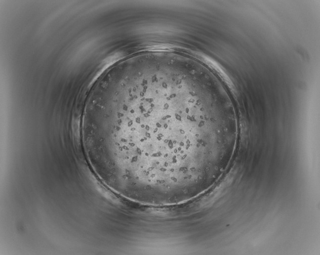 X0000112901194200909041716