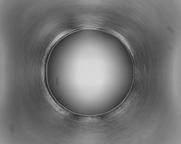 X0000112901195200909041716