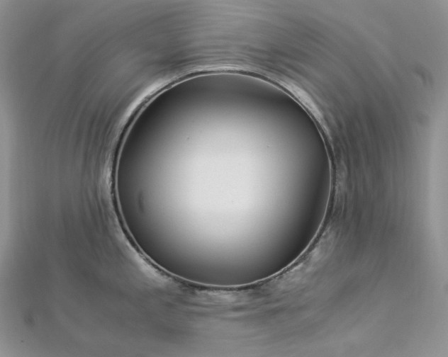 X0000112901197200909041716