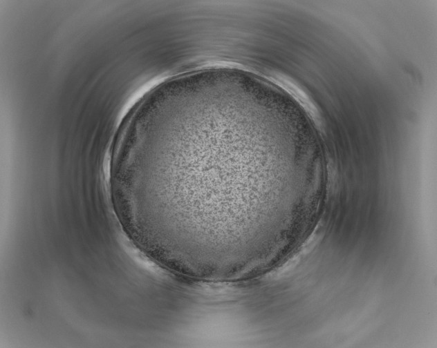 X0000112901198200909041716