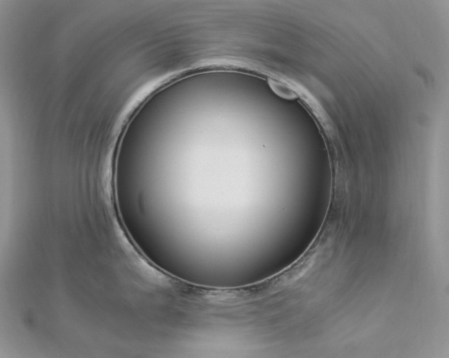 X0000112901199200909041716