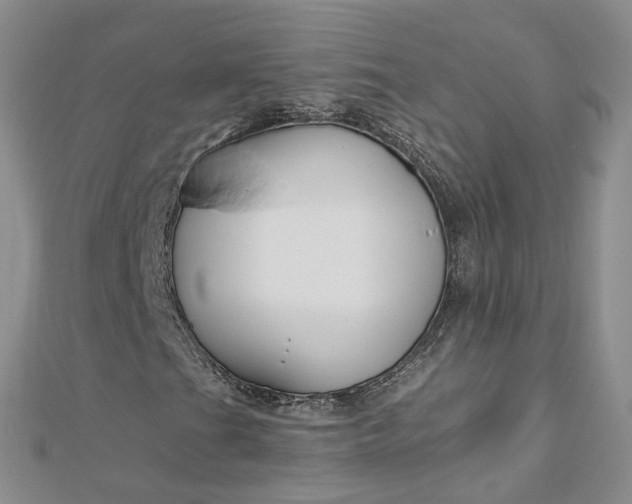 X0000112901201200909041715