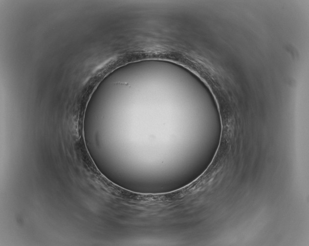 X0000112901205200909041715