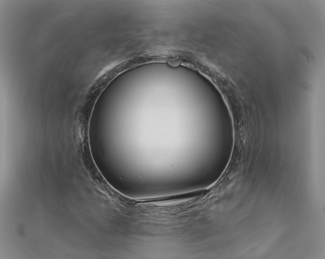 X0000112901206200909041715