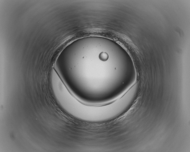 X0000112901209200909041715