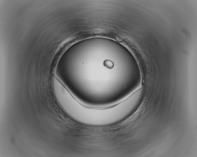 X0000112901210200909041715