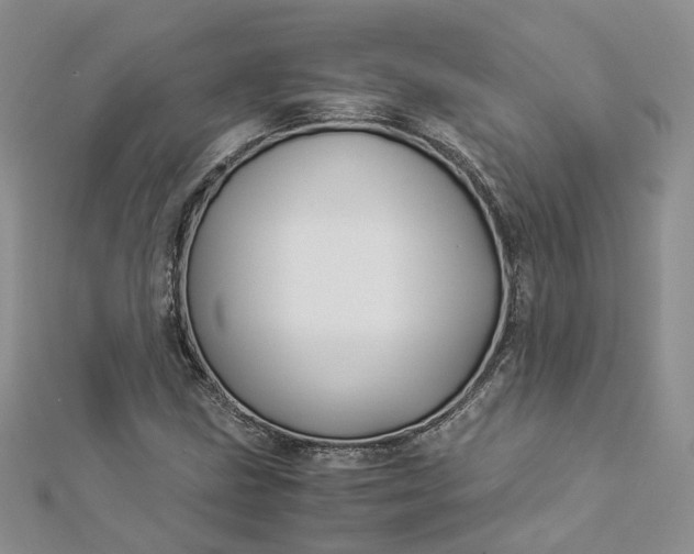 X0000112901211200909041715