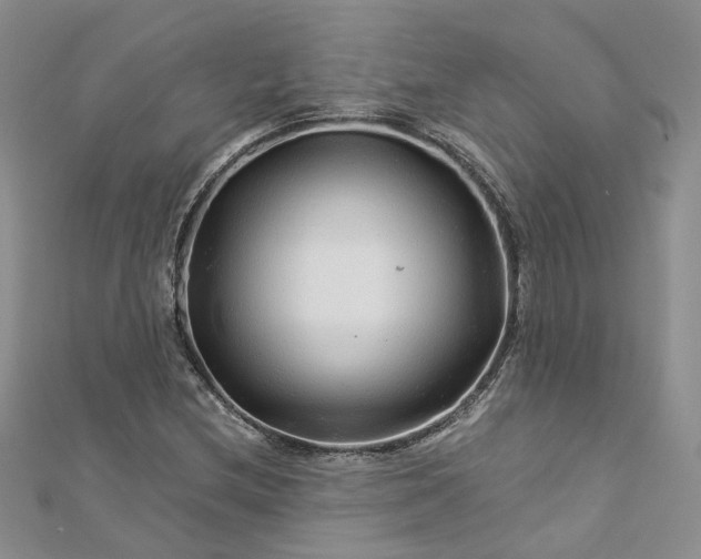 X0000112901212200909041715