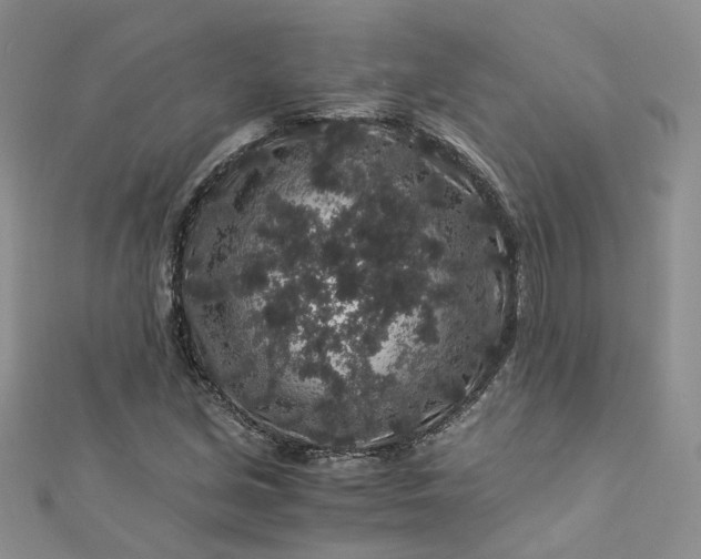 X0000112901213200909041715