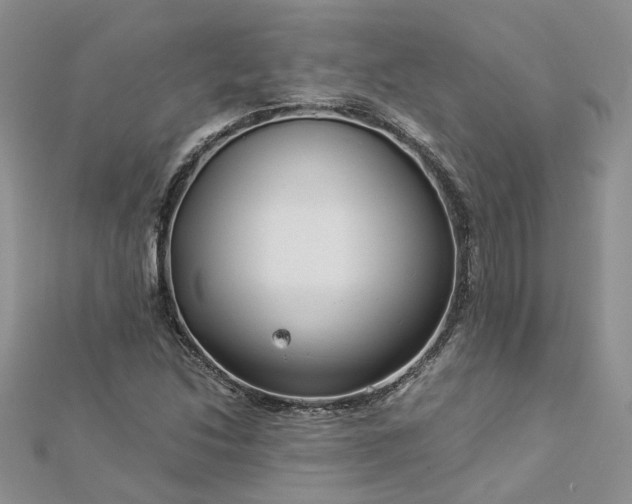 X0000112901214200909041715