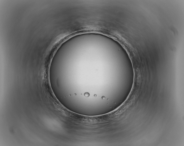 X0000112901215200909041715