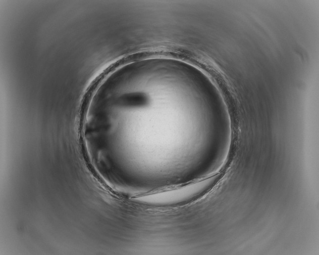 X0000112901216200909041715